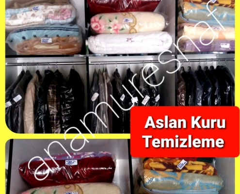 ASLAN KURU TEMİZLEME 2