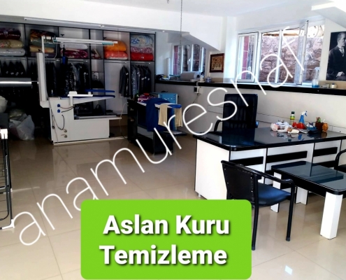 ASLAN KURU TEMİZLEME 7 1