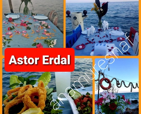 ASTOR ERDAL 3