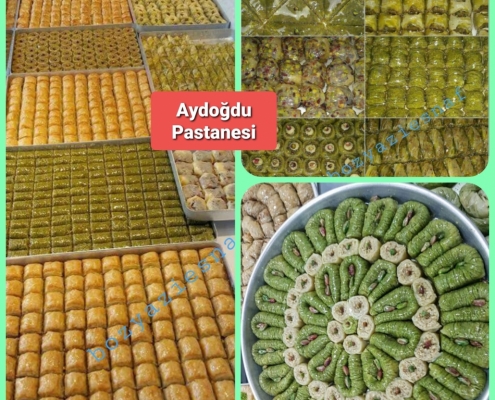 AYDOĞDU PASTANESİ 4