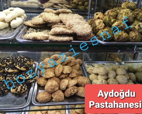 AYDOĞDU PASTANESİ 7