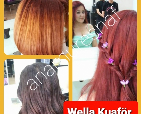 WELLA KUAFÖR 1