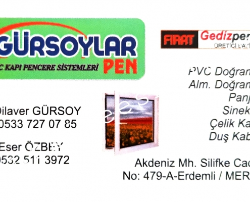 gursoylar pen4